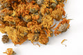 Dried orange calendula flowers scattered on a clean white background.