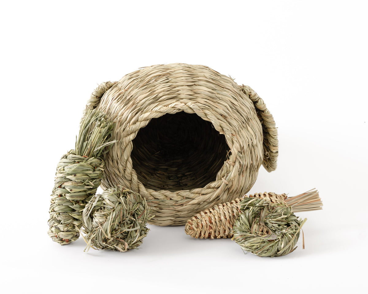 A natural woven thatch pet house with a hollow center surrounded by natural chew toys, photographed on a clean white background.
