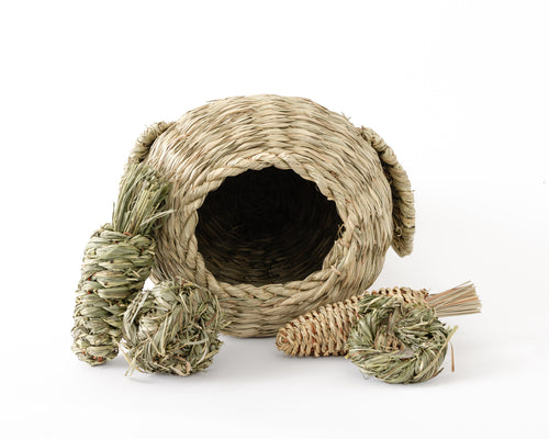 A natural woven thatch pet house with a hollow center surrounded by natural chew toys, photographed on a clean white background.