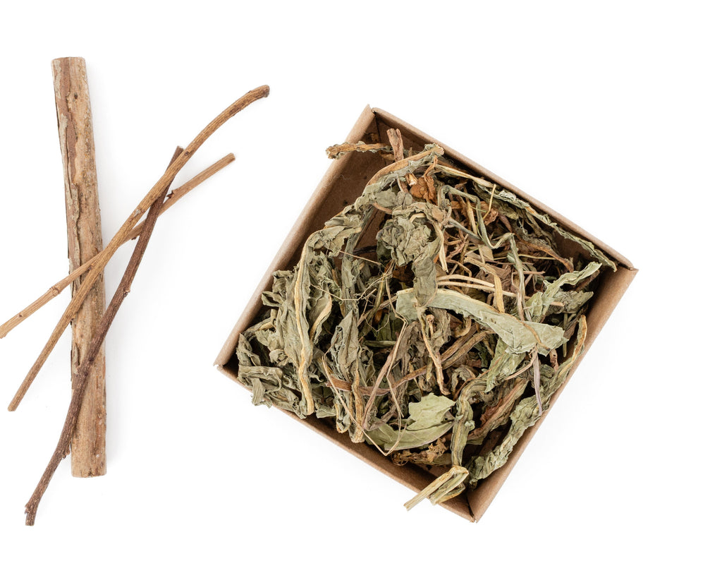 pile of dried dandelion leaf for blueberry sticks as decoration on the side