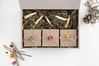 Dawn Collection | Forage Assortment