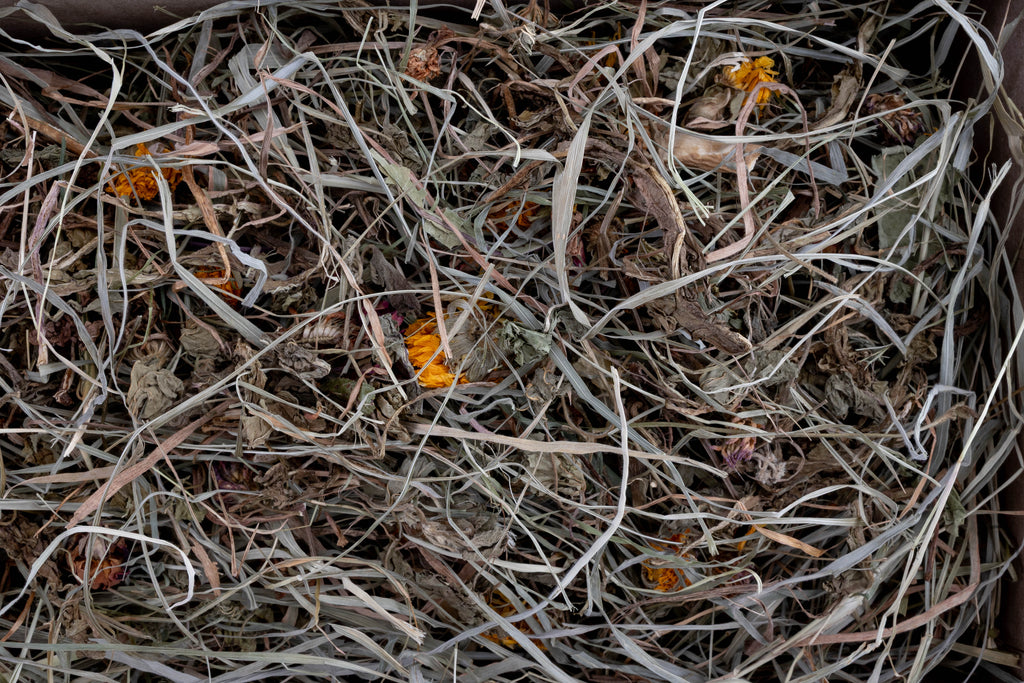 Dawn Collection | Forage Assortment