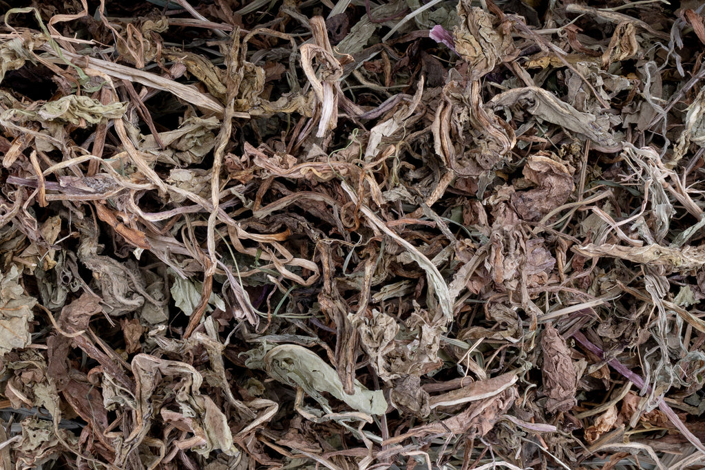 Dawn Collection | Forage Assortment