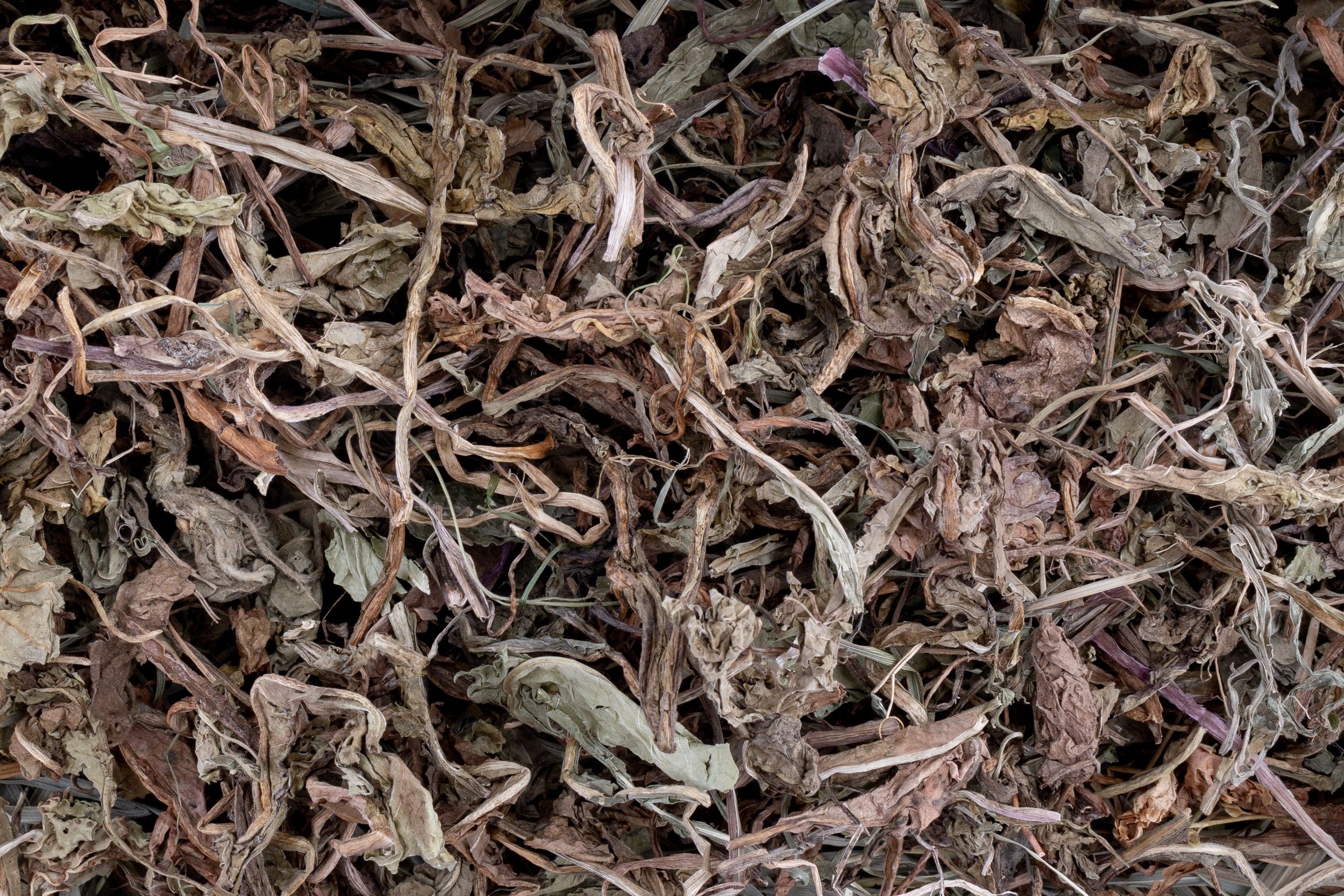 Dawn Collection | Forage Assortment