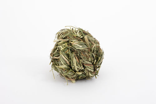 timothy grass ball on white background