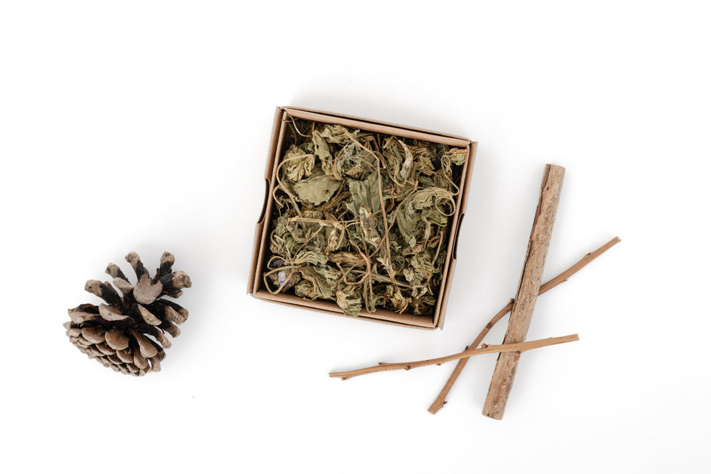box of dried marshmallow leaves with blueberry sticks and pinecones as decoration on the sides