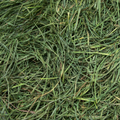 Alternative Packaging Filler - Orchard Hay