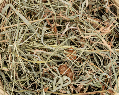 Clover Days packaging filler hay